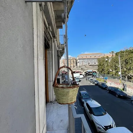 Bibike Apartamento