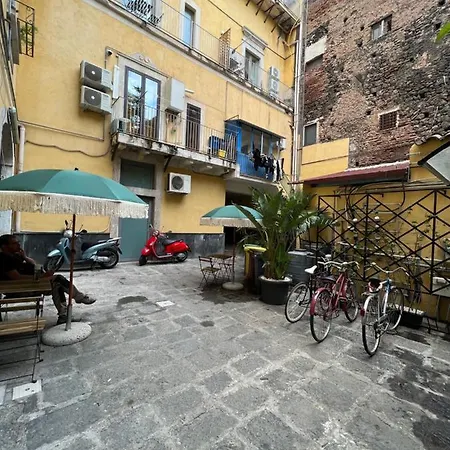 Bibike