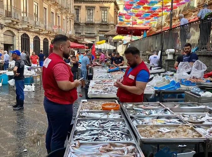 Appartamento Bibike *